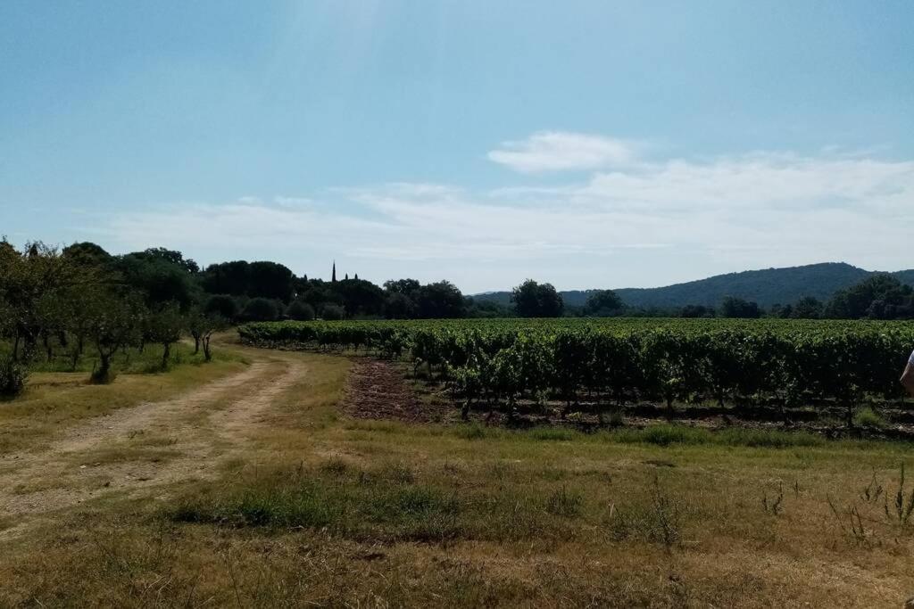 Charmant appartement T2 au coeur des vignes Cogolin Extérieur photo