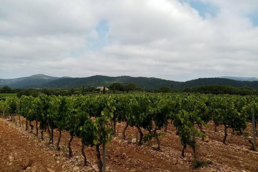 Charmant appartement T2 au coeur des vignes Cogolin Extérieur photo