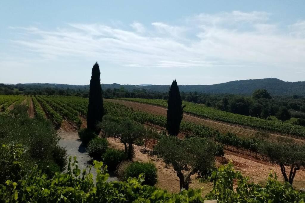 Charmant appartement T2 au coeur des vignes Cogolin Extérieur photo