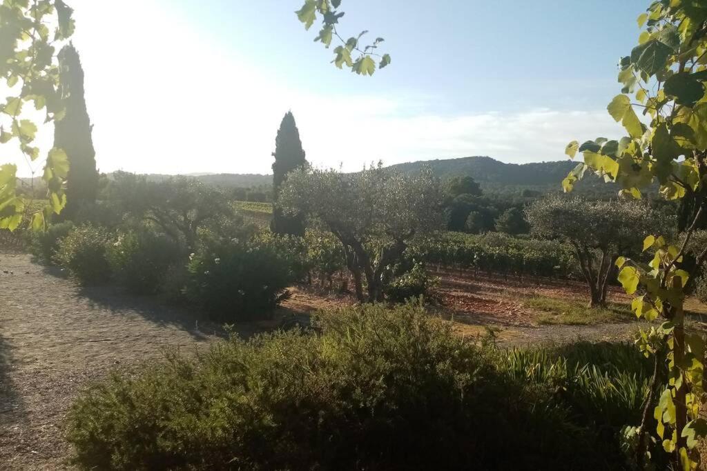 Charmant appartement T2 au coeur des vignes Cogolin Extérieur photo